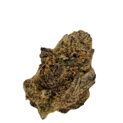 Close up of a dried cannabis bud with orange hairs and frosty trichomes on a dark background