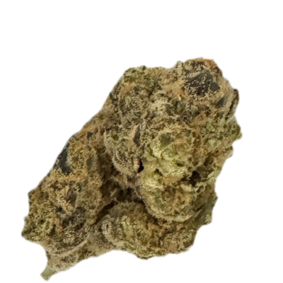 Dried cannabis flower on a white background