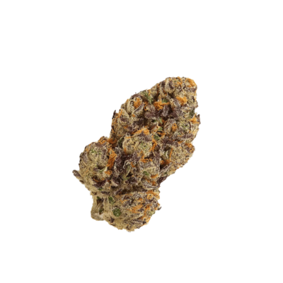 Dense cannabis bud with purple hues and orange pistils coated in frosty trichomes