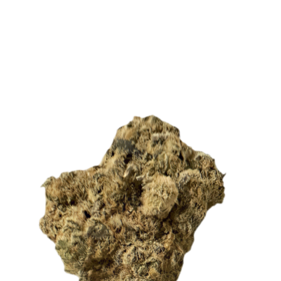 Rough brown rock fragment with porous textured surface on a transparent background