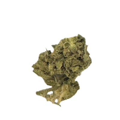 Irregular mossy green rock fragment on a black background
