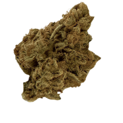 Dried cannabis bud with brown green color and visible crystalline trichomes on a transparent background
