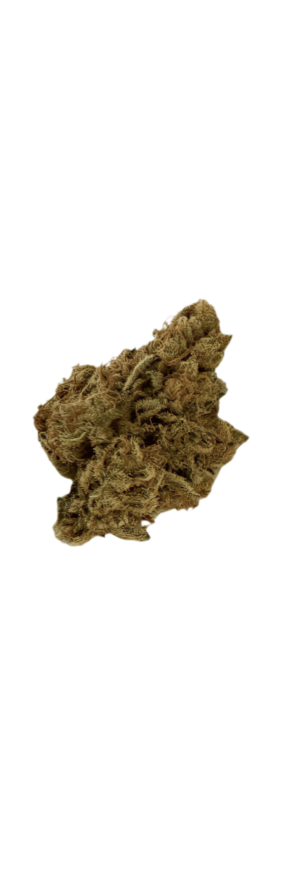 Wellford Luma 26/1 ZA SOC Sour OG Cheese