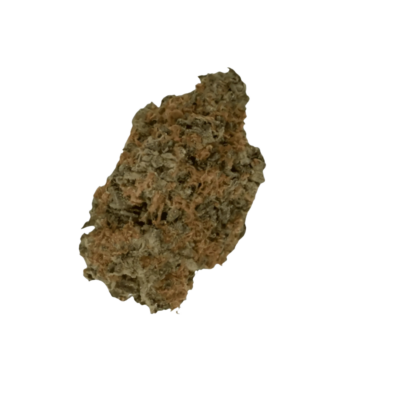 Close up of a jagged brownish rock fragment against a black background showing rough texture and earthy tones