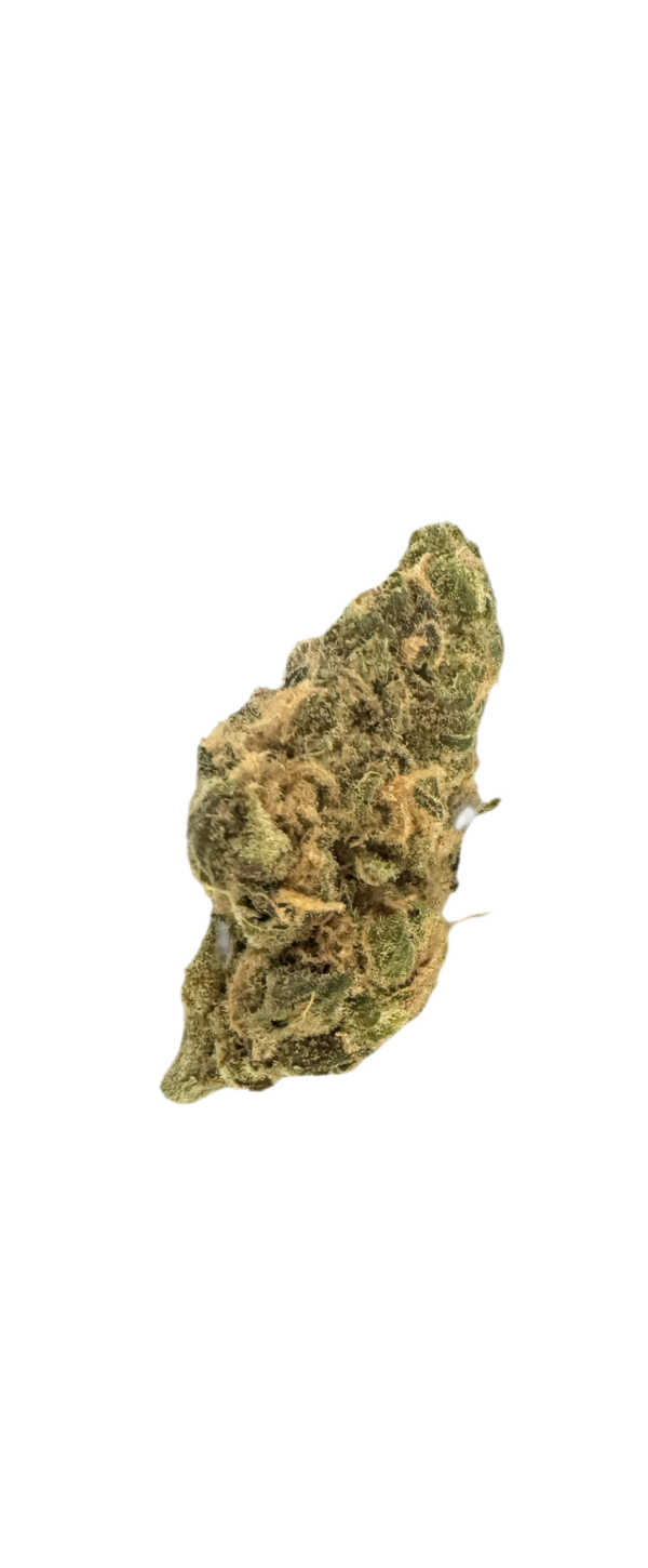 Daily Special 25/1 FUN Funky Berry