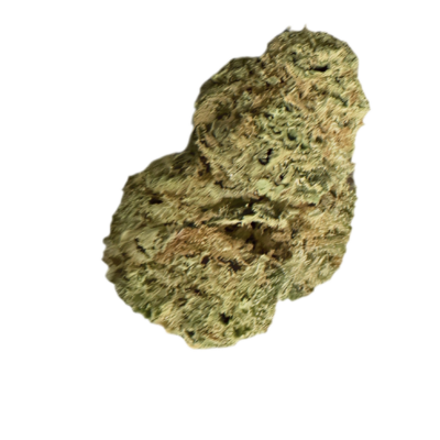 Close up of a dried cannabis bud with green hues and orange pistils on a black background