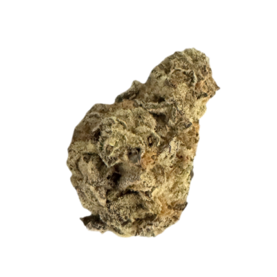 Irregular beige brown rock fragment on a black background