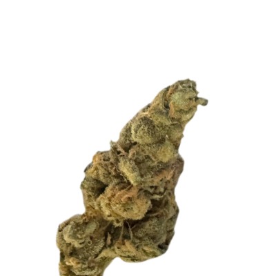 Dried cannabis bud with green and orange hairs on a white background
