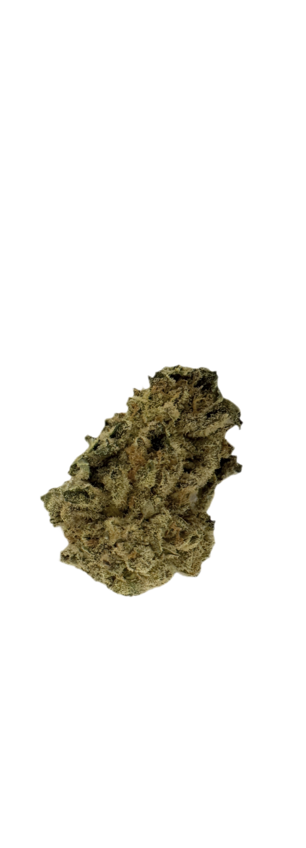 Tilray THC 15 Spotlight Porto Blueberry